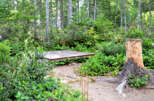 Chinook Campsite - 2015