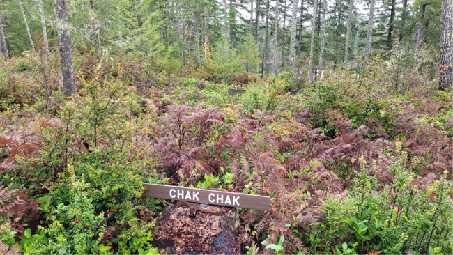 Chak Chak Campsite #4