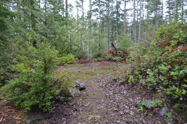 Read more: Canim Campsite #8
