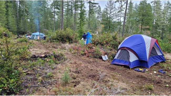 Chinook Campsite - 2021