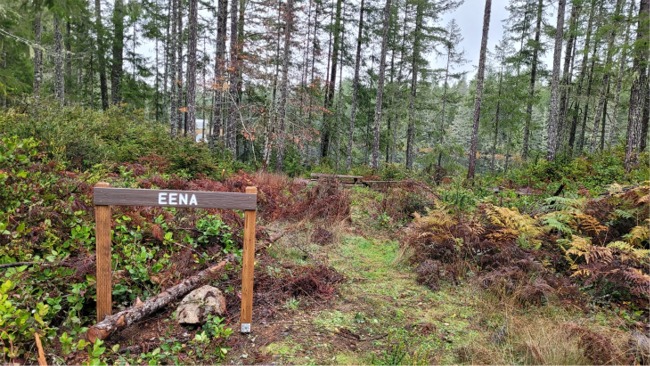 Read more: Eena Campsite - 2021