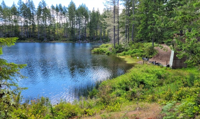 Waterfront: Robbins Lake