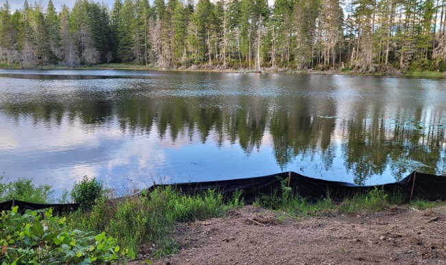 Waterfront: Robbins Lake