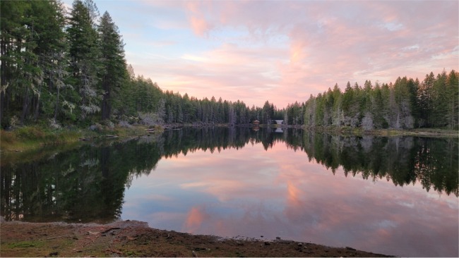 Waterfront: Robbins Lake