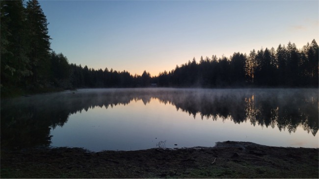 Waterfront: Robbins Lake