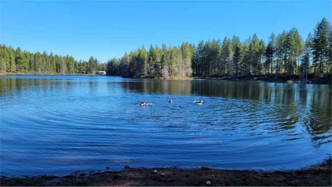 Waterfront: Robbins Lake